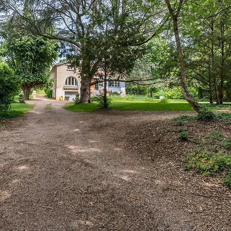 Villa La Clarte - Wonderful Refurbish With Garden And Pool Champagne-au-Mont-d'Or